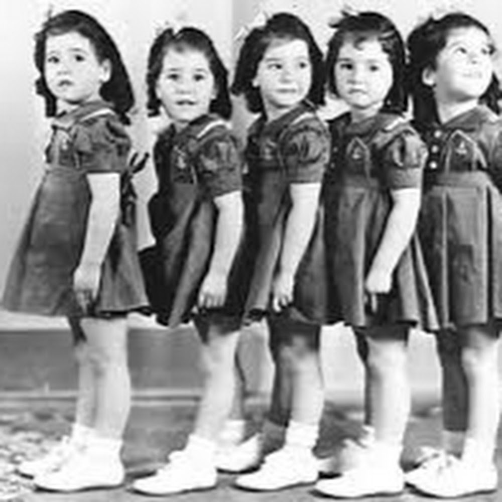 Meet your Posher, Sophie